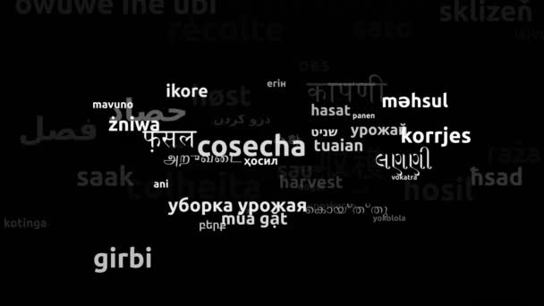 Høst Oversat Worldwide Languages Endless Looping Zooming Wordcloud Mask – Stock-video