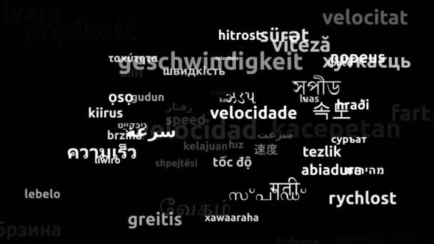 Hastighet Översatt Till Hela Världen Språk Endless Looping Zooming Wordcloud — Stockvideo