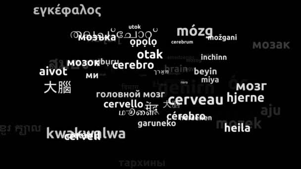 Cérebro Traduzido Idiomas Mundiais Endless Looping Zooming Wordcloud Mask — Vídeo de Stock