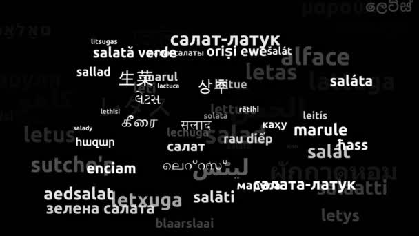 Kopfsalat Übersetzt Weltsprachen Endlosschleife Zoomen Wordcloud Maske — Stockvideo