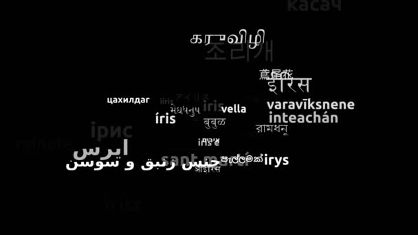 Iris Vertaald Wereldwijde Talen Endless Looping Zooming Wordcloud Mask — Stockvideo