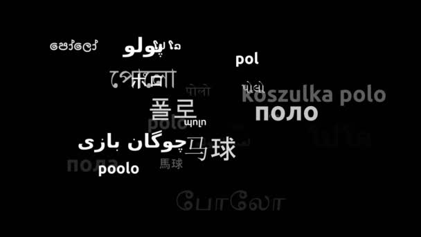 Polo Oversat Hele Verden Sprog Endless Looping Zooming Wordcloud Mask – Stock-video