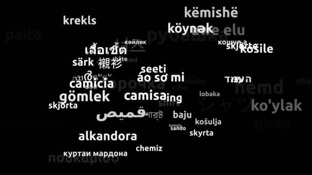 Tričko Přeloženo Světových Jazycích Nekonečná Smyčka Přiblížení Wordcloud Maska — Stock video