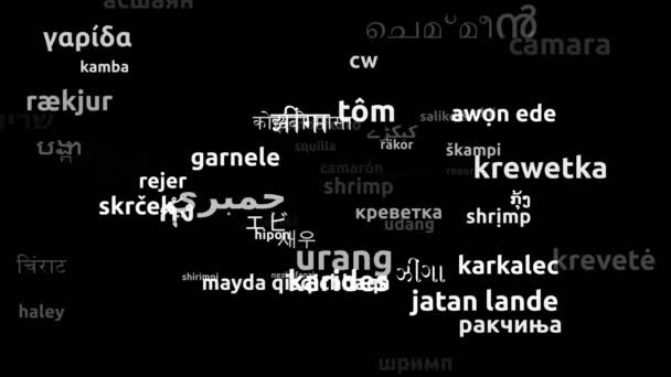 Креветки Перевод Языках Мира Бесконечный Цикл Увеличение Маски Wordcloud — стоковое видео