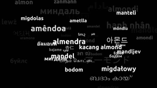 Mandorle Tradotte Lingue Tutto Mondo Looping Infinito Zoom Wordcloud Mask — Video Stock