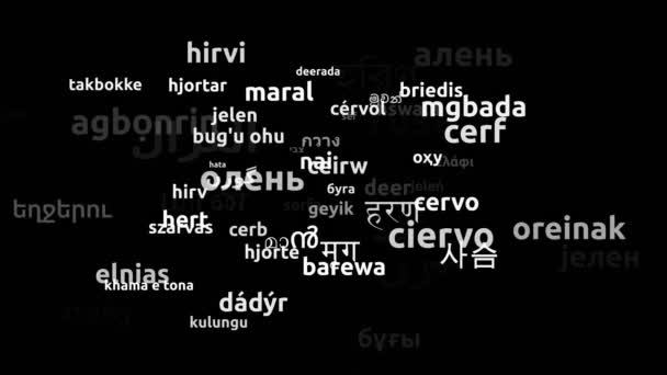 Deer Translated Worldwide Languages Endless Looping Zooming Wordcloud Mask — Stock Video