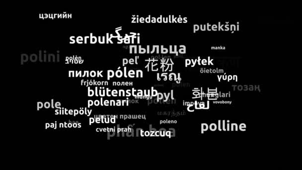 用60种世界语言翻译Pollen连续循环3D缩放Wordcloud掩蔽 — 图库视频影像