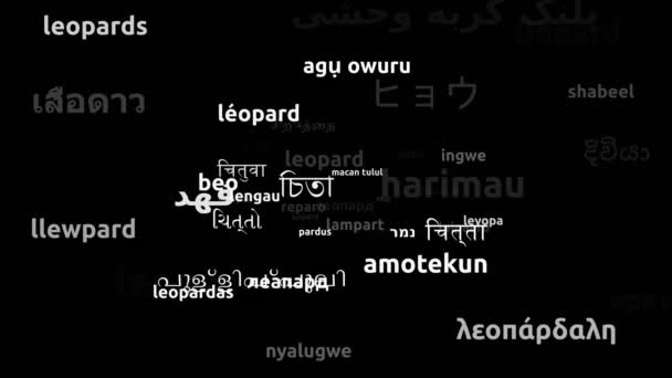 Leopard Weltsprachen Übersetzt Endlosschleife Zoomen Wordcloud Maske — Stockvideo