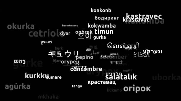 Ogórki Przetłumacz Komentarz Przetłumaczone Worldwide Languages Endless Looping Zooming Wordcloud — Wideo stockowe