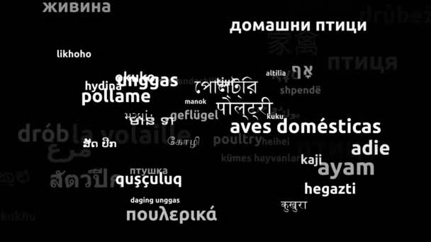 Aves Capoeira Traduzidas Idiomas Todo Mundo Endless Looping Zooming Wordcloud — Vídeo de Stock