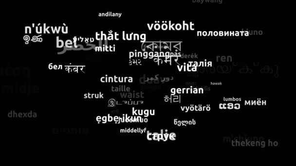 Talje Oversat Til Hele Verden Sprog Endless Looping Zooming Wordcloud – Stock-video