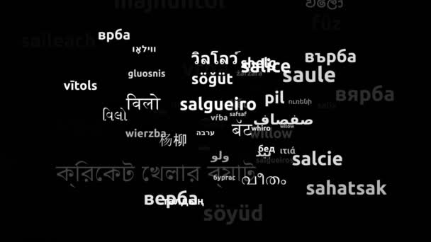 Willow Translated Worldwide Languages Endless Looping Zooming Wordcloud Mask — Stock video