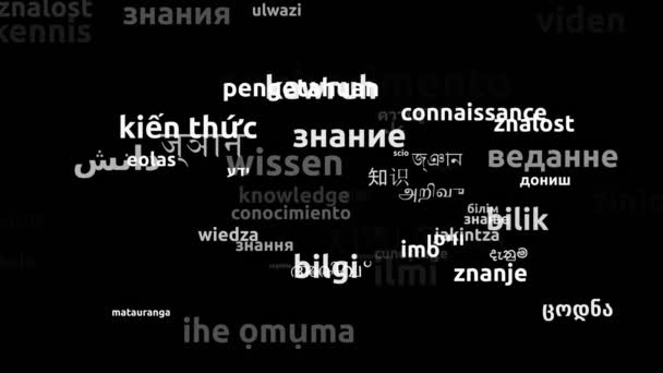 Knowledge Translated Worldwide Languages Endless Looping Zooming Wordcloud Mask — Stock Video