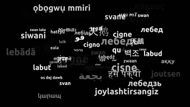 Swan Przetłumacz Komentarz Przetłumaczone Światowych Języków Endless Looping Zooming Wordcloud — Wideo stockowe