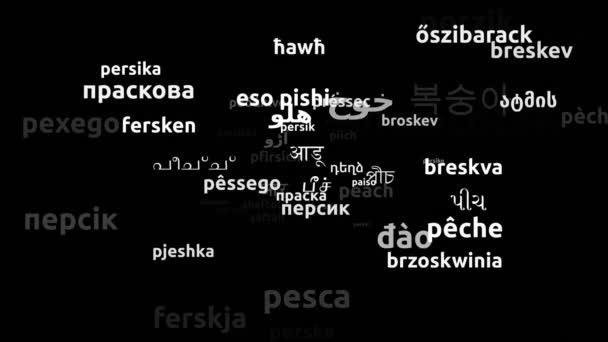 Peach Tradus Limbi Din Întreaga Lume Endless Looping Zooming Wordcloud — Videoclip de stoc