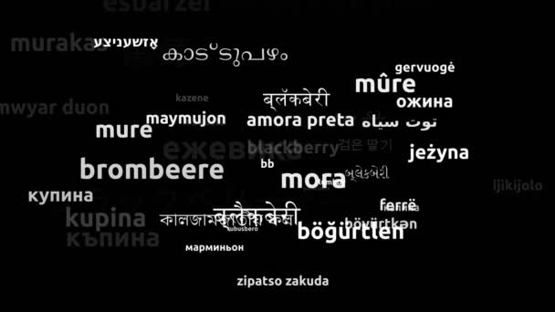 Blackberry Μεταφράστηκε Worldwide Languages Endless Looping Zooming Wordcloud Mask — Αρχείο Βίντεο
