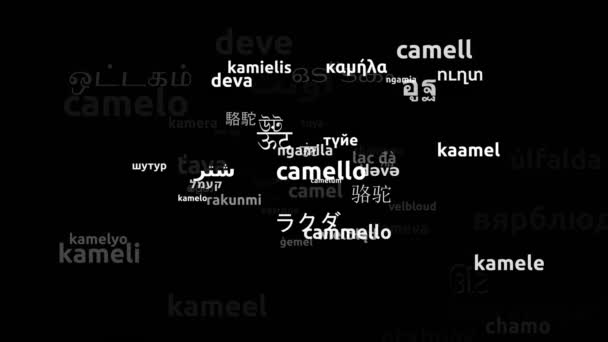 Camel Traduzido Idiomas Mundiais Endless Looping Zooming Wordcloud Mask — Vídeo de Stock