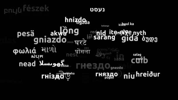 Hnízdo Přeložené Světových Jazycích Nekonečná Smyčka Přiblížení Wordcloud Maska — Stock video