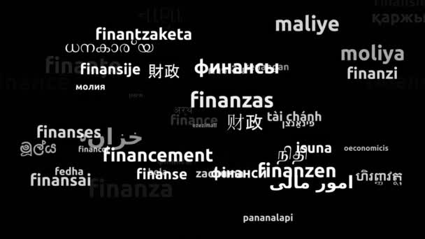 金融翻译为59种世界语言无限循环3D缩放沃德云掩蔽 — 图库视频影像