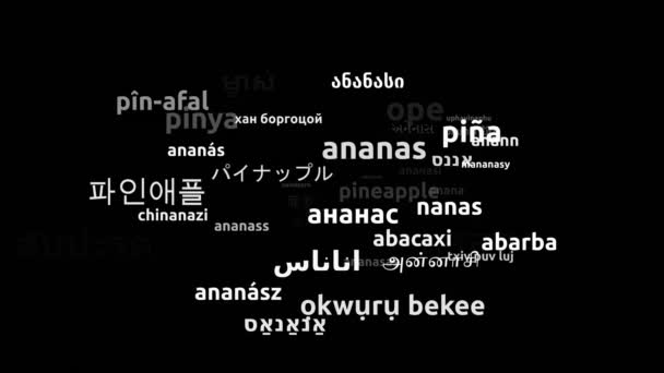 Ananas Přeloženo Celém Světě Jazyky Nekonečná Smyčka Přiblížení Wordcloud Maska — Stock video