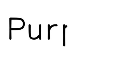 Çeşitli Sans-Serif Yazı Tipleri ve Ağırlıkları ile Mor Metin Animasyonu