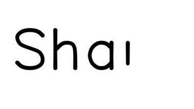 Çeşitli Sans-Serif Yazı Tipleri ve Ağırlıkları ile El Yazısıyla Metin Canlandırması