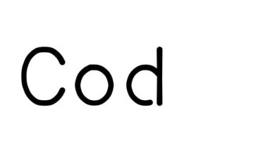 Çeşitli Sans-Serif Yazı Tipleri ve Ağırlıkları ile Yazılı Metin Canlandırması