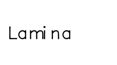 Çeşitli Sans-Serif Yazı Tipleri ve Ağırlıkları ile Laminasyon El Yazısı Metni CanlandırmasıName