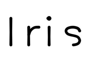 Çeşitli Sans-Serif Yazı Tipleri ve Ağırlıklarıyla İrlandaca El Yazısı Animasyonu