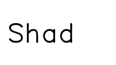 Çeşitli Sans-Serif Yazı Tipleri ve Ağırlıkları ile Gölge El Yazısı Metni CanlandırmasıName