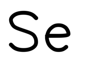 Çeşitli Sans-Serif Yazı Tipleri ve Ağırlıkları ile Seo El Yazısı Metni Canlandırması