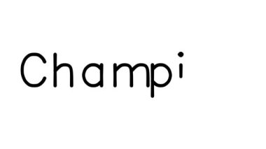 Şampiyon El Yazması Metin Canlandırması Çeşitli Sans-Serif Yazı Tipleri ve Ağırlıkları