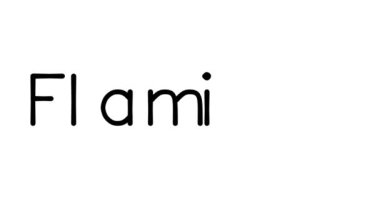 Çeşitli Sans-Serif Yazı Tipleri ve Ağırlıkları ile Flamingo El Yazısı Metni Animasyonu