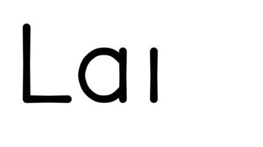 Çeşitli Sans-Serif Yazı Tipleri ve Ağırlıkları ile Larp El Yazısı Metni CanlandırmasıName