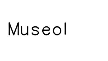Çeşitli Sans-Serif Yazı Tipleri ve Ağırlıkları ile Müzeoloji El Yazısı Metni Animasyonu