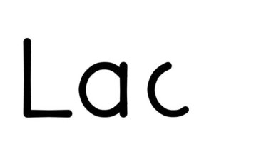 Çeşitli Sans-Serif Yazı Tipleri ve Ağırlıkları ile Laos El Yazısı Metni Canlandırması