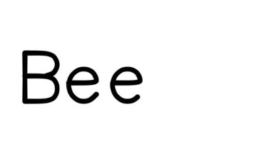 Çeşitli Sans-Serif Yazı Tipleri ve Ağırlıkları ile Böcek El Yazısı Metni CanlandırmasıName