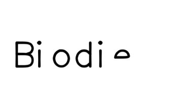 Çeşitli Sans-Serif Yazı Tipleri ve Ağırlıkları ile Biyodizel Metin Canlandırması