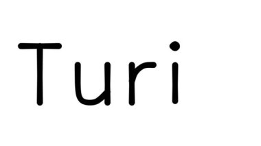 Çeşitli Sans-Serif Yazı Tipleri ve Ağırlıkları ile Torino El Yazısı Metni CanlandırmasıName
