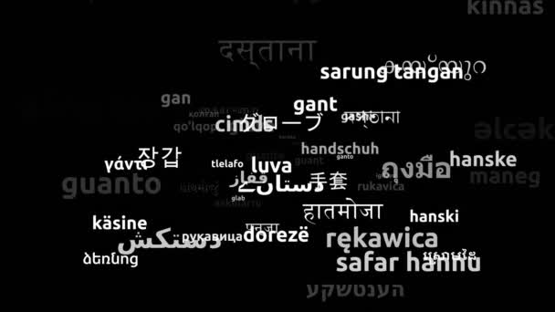 Handske Översatt Till Hela Världen Languages Endless Looping Zooming Wordcloud — Stockvideo