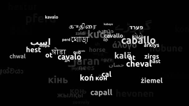 Horse Translated Worldwide Languages Endless Looping Zooming Wordcloud Mask — Stock Video