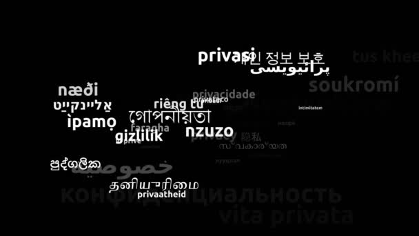43の世界中の言語で翻訳されたプライバシー 3Dズームワードクラウドマスク — ストック動画