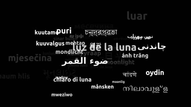 Moonlight Translated Worldwide Languages Endless Looping Zooming Wordcloud Mask — Stock Video