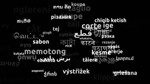 Skæring Oversat Hele Verden Sprog Endless Looping Zooming Wordcloud Mask – Stock-video