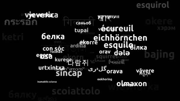 Esquilo Traduzido Worldwide Languages Endless Looping Zooming Wordcloud Mask — Vídeo de Stock