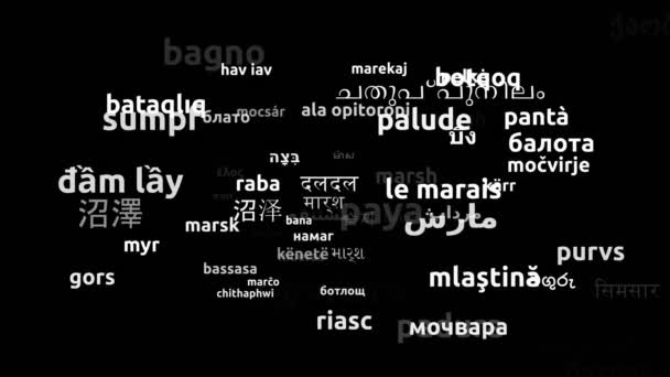 Заболотная Трансплантация Языке Мира Менее Петляющая Трехмерная Zooming Wordcloud Mask — стоковое видео