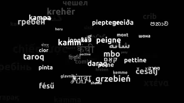 Kamm Übersetzt Weltsprachen Endlosschleife Zoomen Wordcloud Maske — Stockvideo