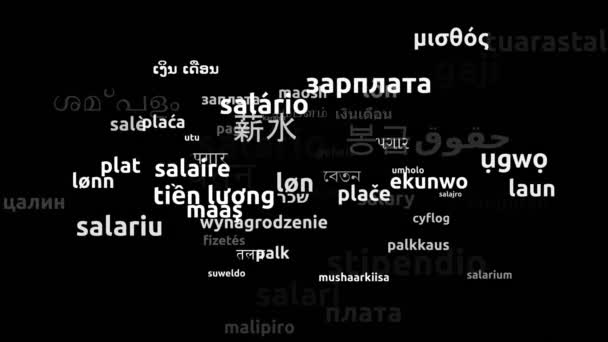 世界69カ国で翻訳された給与エンドレスループ3Dズーム Wordcloudマスク — ストック動画