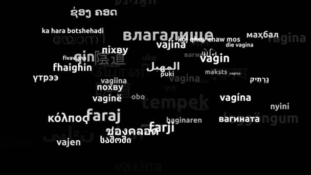 Vagina Translated Worldwide Languages Endless Looping Zooming Wordcloud Mask — 비디오