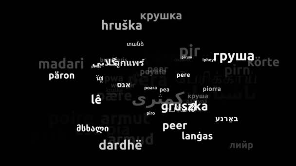 Birne Übersetzt Weltsprachen Endlosschleife Zoomen Wordcloud Maske — Stockvideo